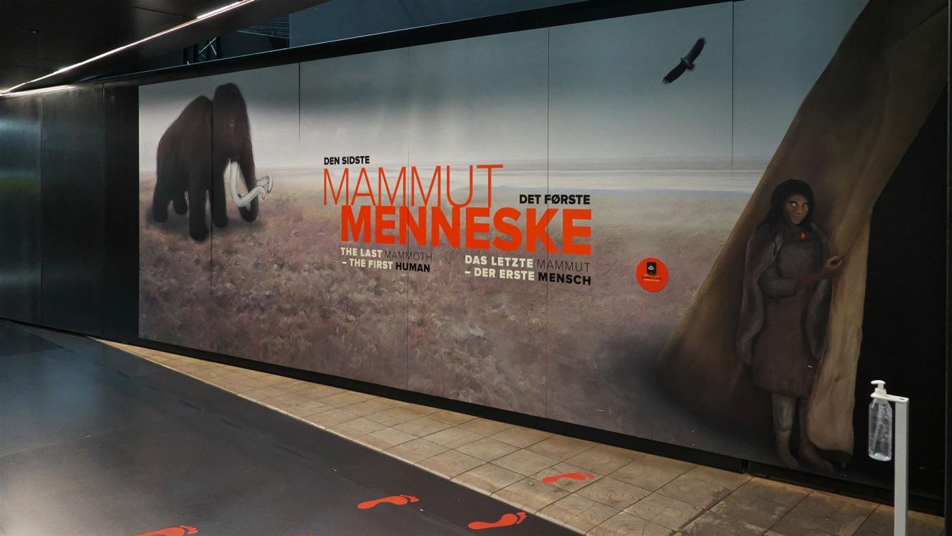 Das letzte Mammut – der erste Mensch