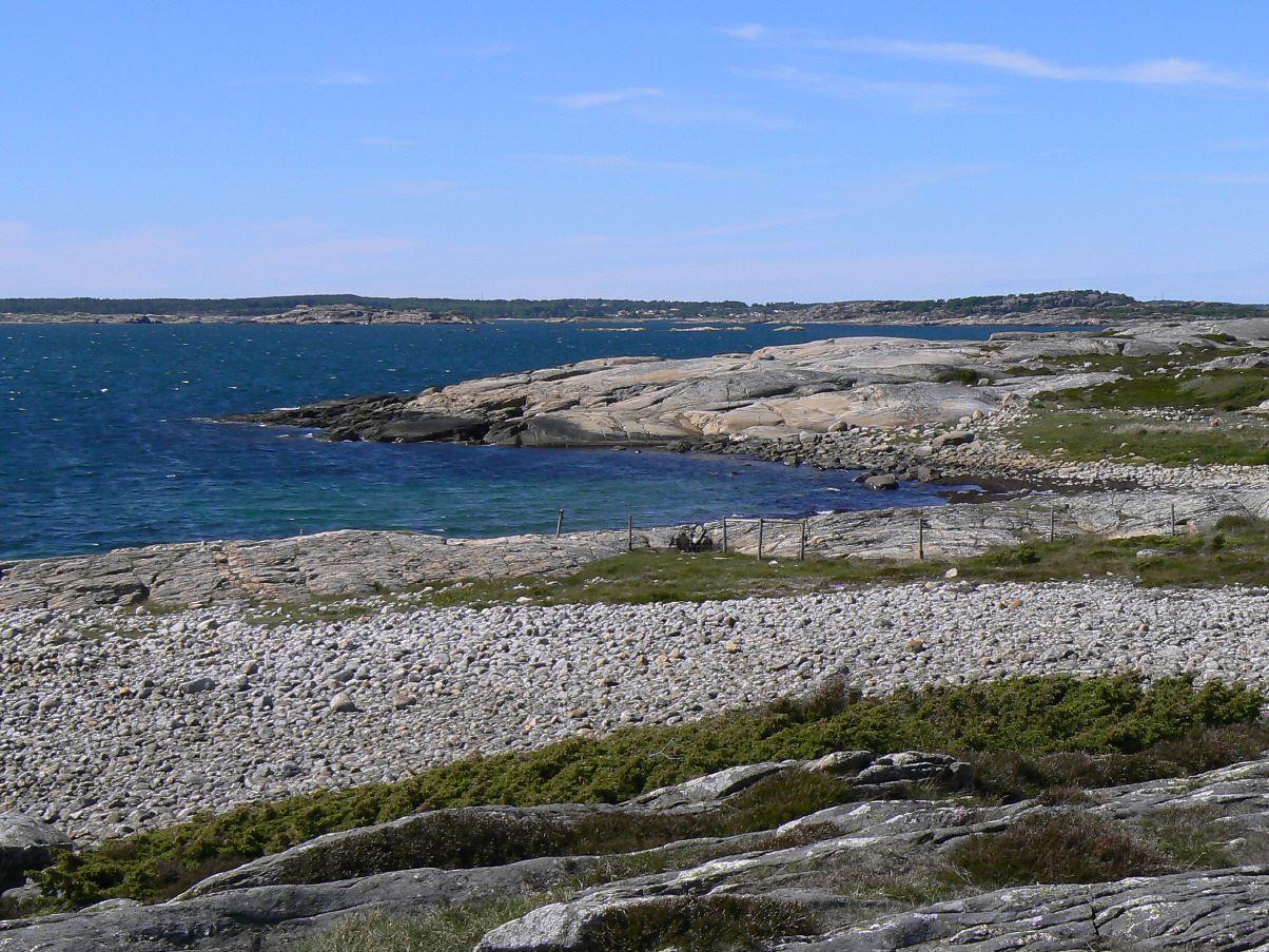 Naturreservat Åsa