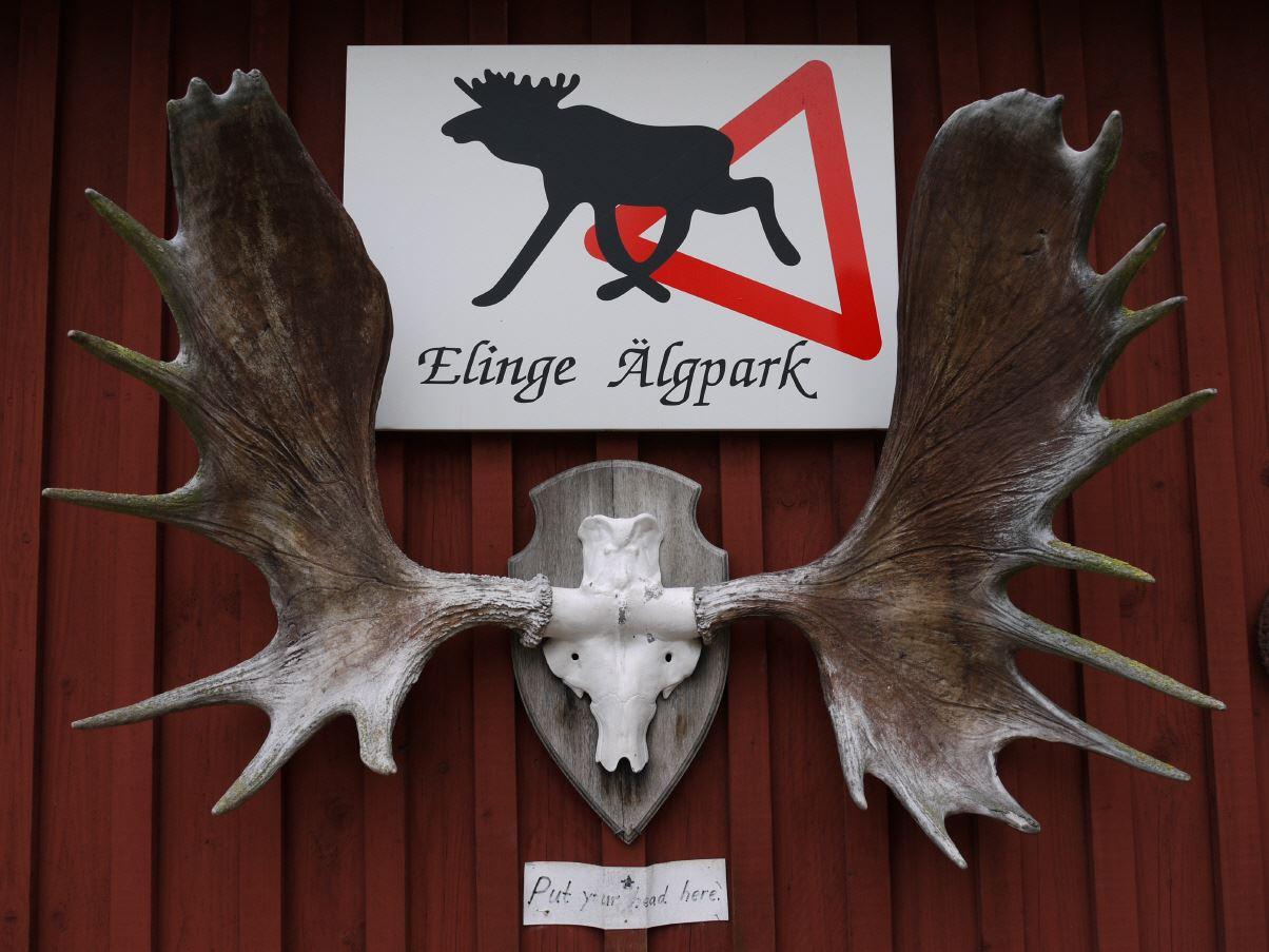 Elinge Älgpark