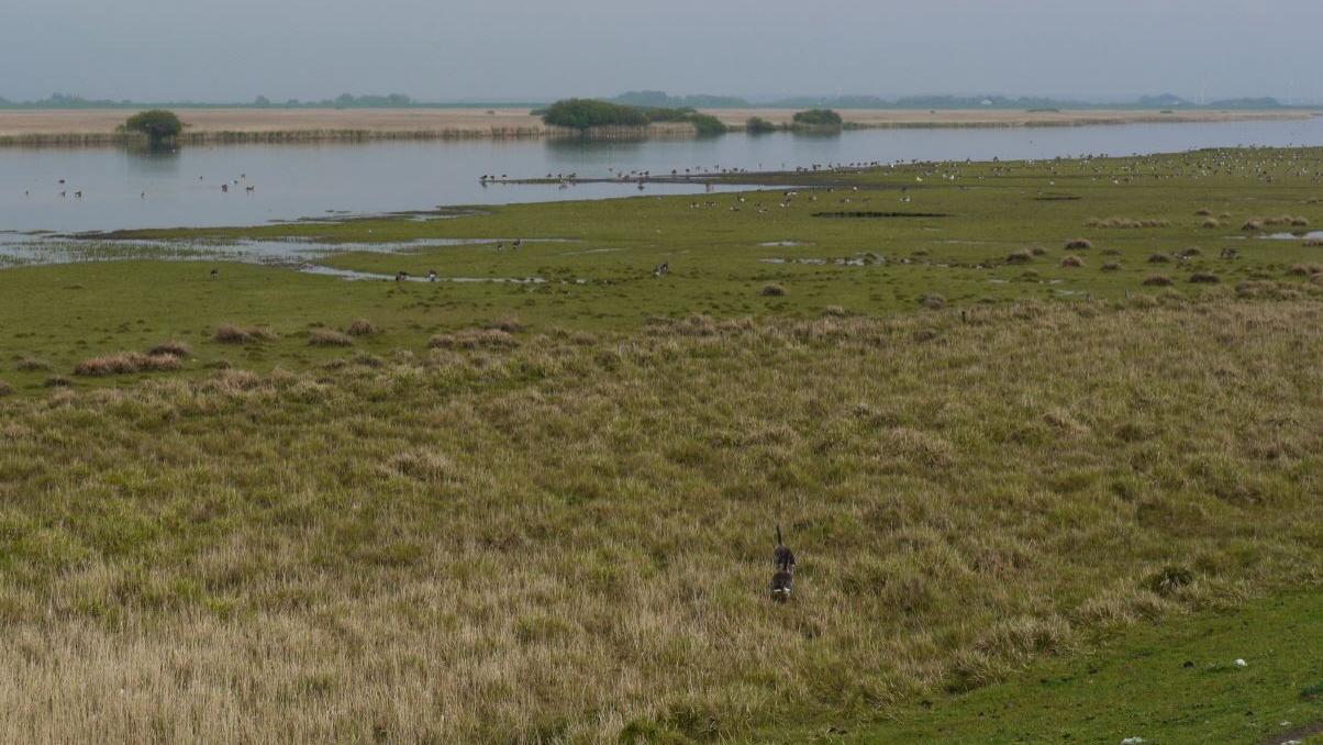 Vogelschutzpark Speicherbecken