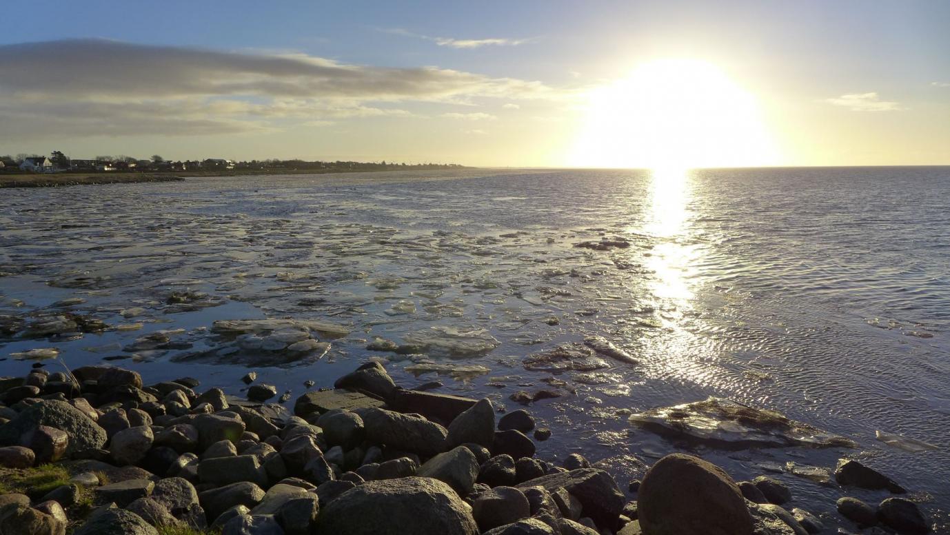 Ringkøbing Fjord