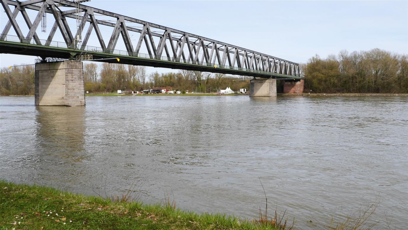 Spaziergang am Rhein