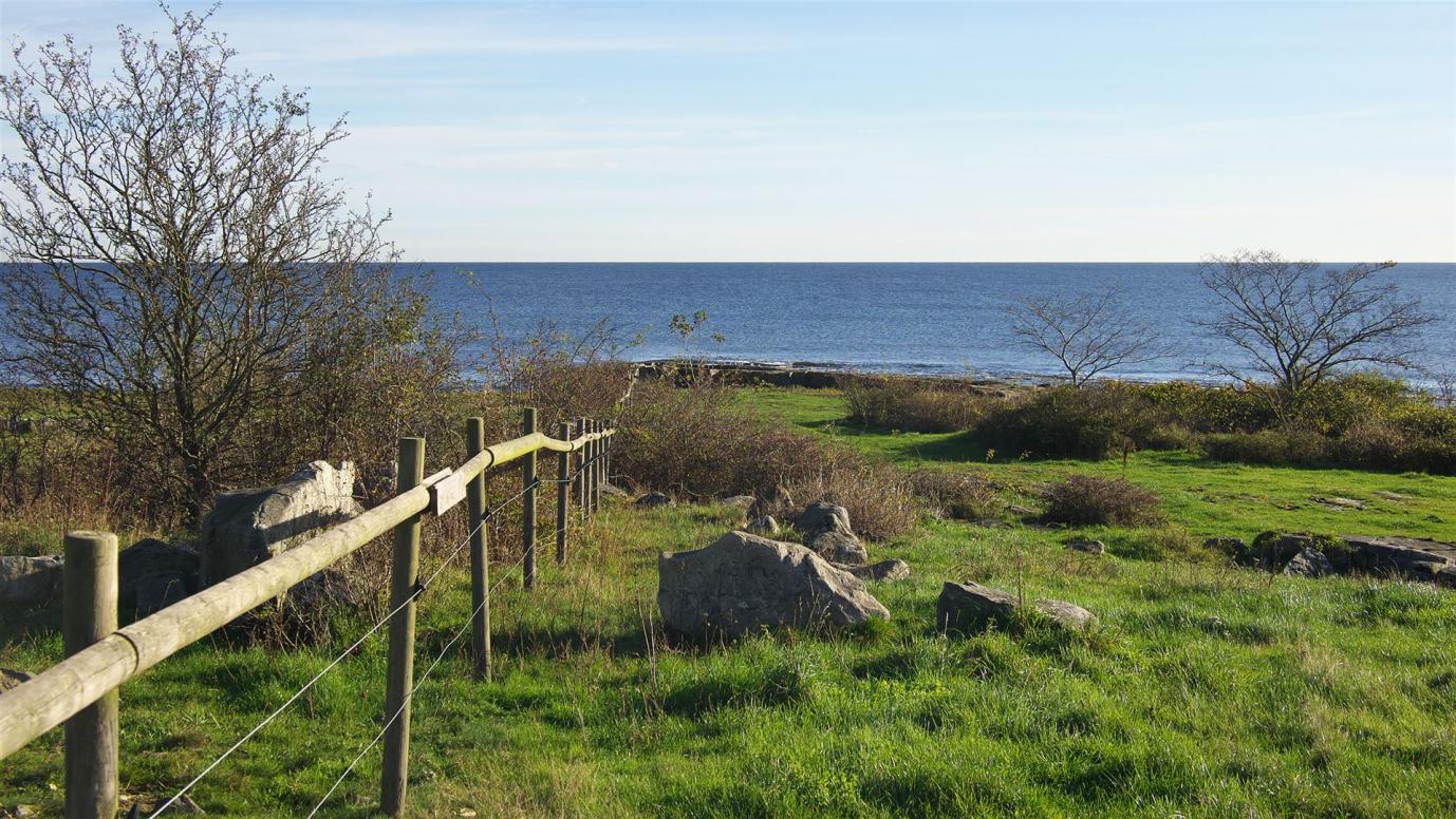 bei Simris - Ostseeblick ...