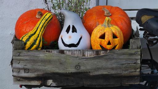 Halloween lässt grüßen ...