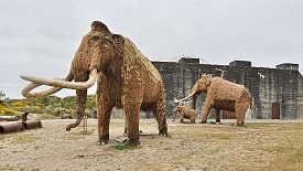 230604-004v Blåvand - Besuch vom 