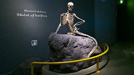 230606-014v Esbjerg - im 