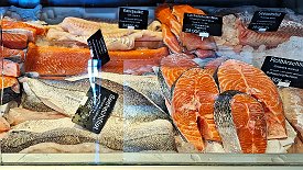 230608-06v Husum - am Kutterhafen, lecker Fischbrötchen essen & kleiner Einkauf