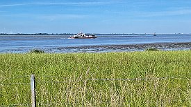 230609-11v Glückstadt - am Fährhafen, warten auf die Fähre nach Wischhafen