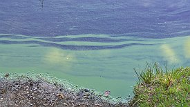 230530-016v Vojens - Spaziergang am 