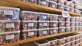 230603-09v Blåvand - bei 