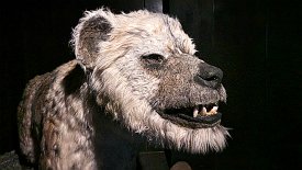 230604-020v Blåvand - Besuch vom 