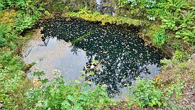 230828-008v Långban - Besichtigung der 