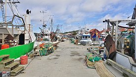 230904-038v Grebbestad - Hafenspaziergang, bei den Fischkuttern