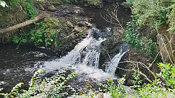 240817-083v Hallamölla Vattenfall - Wasserfall und Mühle ...