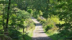 240901-07v Simlångsdalen - Spaziergang zu den 