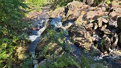 240901-16v Simlångsdalen - Spaziergang zu den 